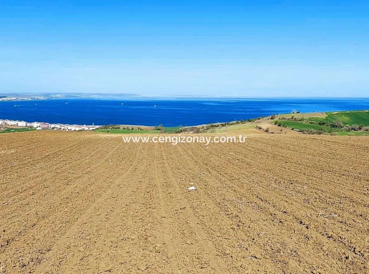 Tekirdag Barbarosta Luxusvilla Projekt Yap. Geben Sie Den Bauunternehmern Eine Wohnung Und Bauen Sie Eine Gewinnbringende Villa Mit Vollem Meerblick