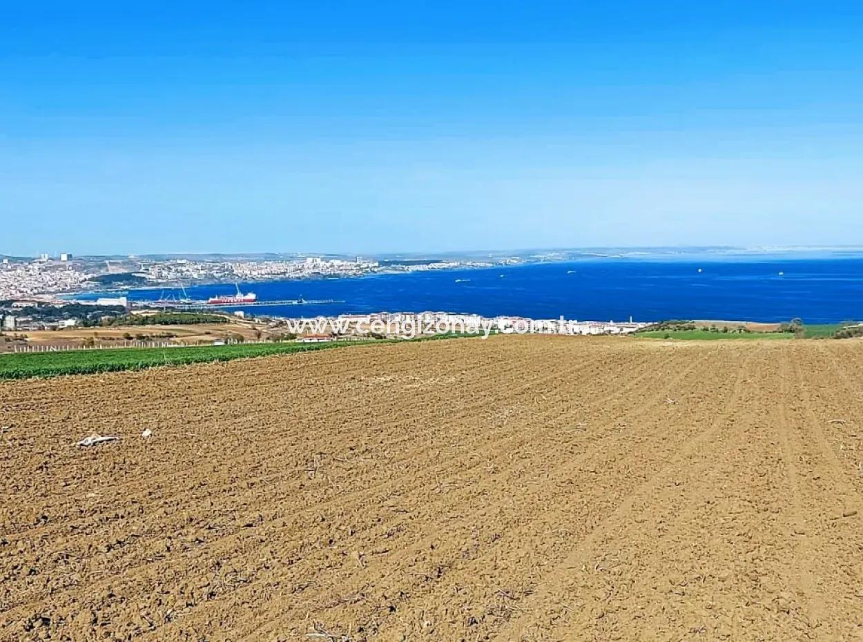 Tekirdag Barbarosta Luxusvilla Projekt Yap. Geben Sie Den Bauunternehmern Eine Wohnung Und Bauen Sie Eine Gewinnbringende Villa Mit Vollem Meerblick