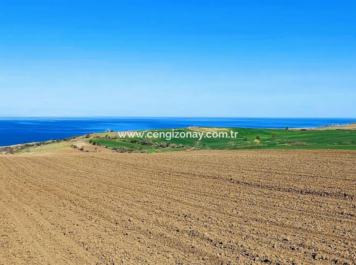 Tekirdag Barbarosta Luxusvilla Projekt Yap. Geben Sie Den Bauunternehmern Eine Wohnung Und Bauen Sie Eine Gewinnbringende Villa Mit Vollem Meerblick