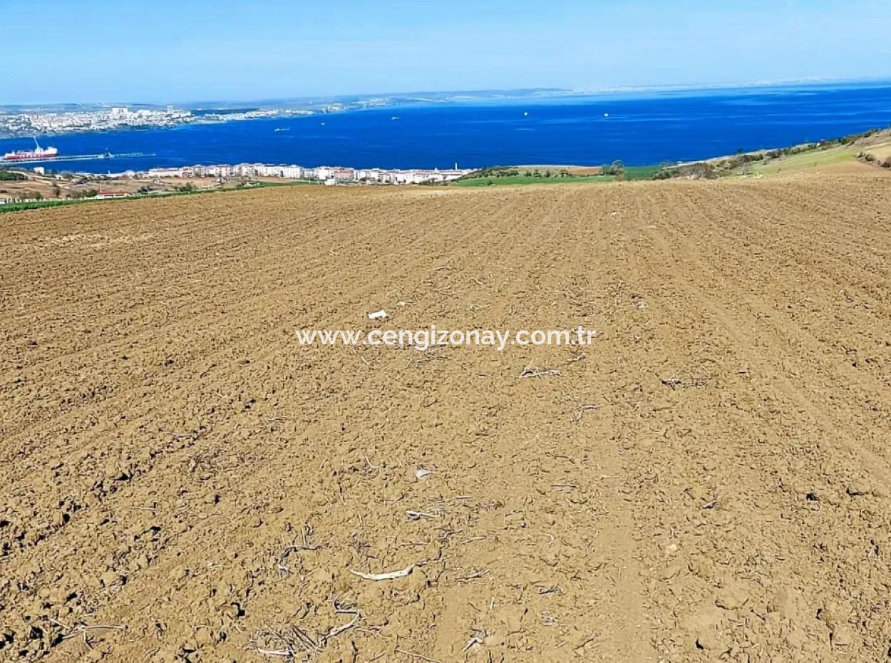 Tekirdag Barbarosta Luxusvilla Projekt Yap. Geben Sie Den Bauunternehmern Eine Wohnung Und Bauen Sie Eine Gewinnbringende Villa Mit Vollem Meerblick
