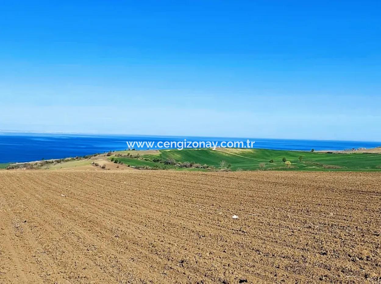 Tekirdag Barbarosta Luxusvilla Projekt Yap. Geben Sie Den Bauunternehmern Eine Wohnung Und Bauen Sie Eine Gewinnbringende Villa Mit Vollem Meerblick