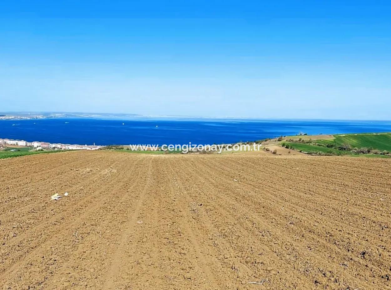 Tekirdag Barbarosta Luxusvilla Projekt Yap. Geben Sie Den Bauunternehmern Eine Wohnung Und Bauen Sie Eine Gewinnbringende Villa Mit Vollem Meerblick