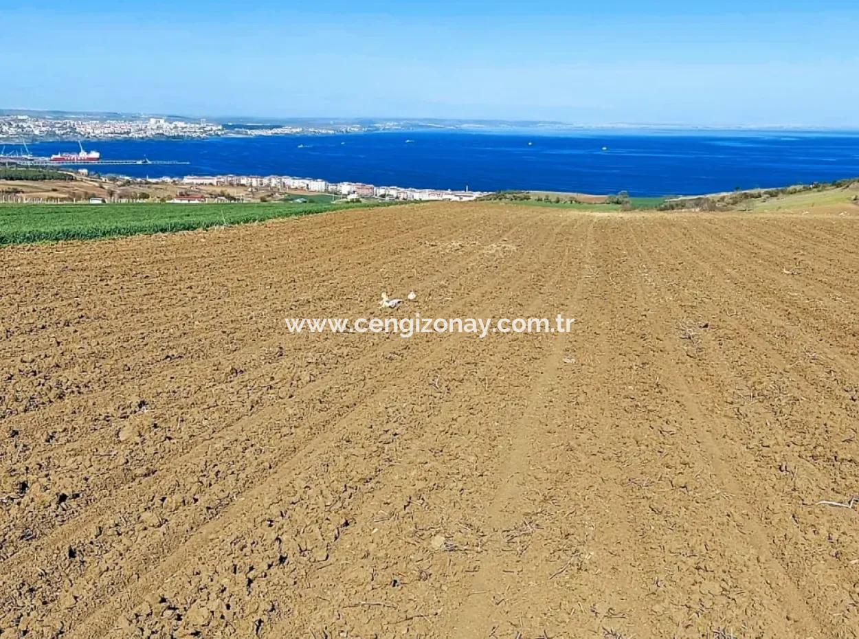 Tekirdag Barbarosta Luxusvilla Projekt Yap. Geben Sie Den Bauunternehmern Eine Wohnung Und Bauen Sie Eine Gewinnbringende Villa Mit Vollem Meerblick