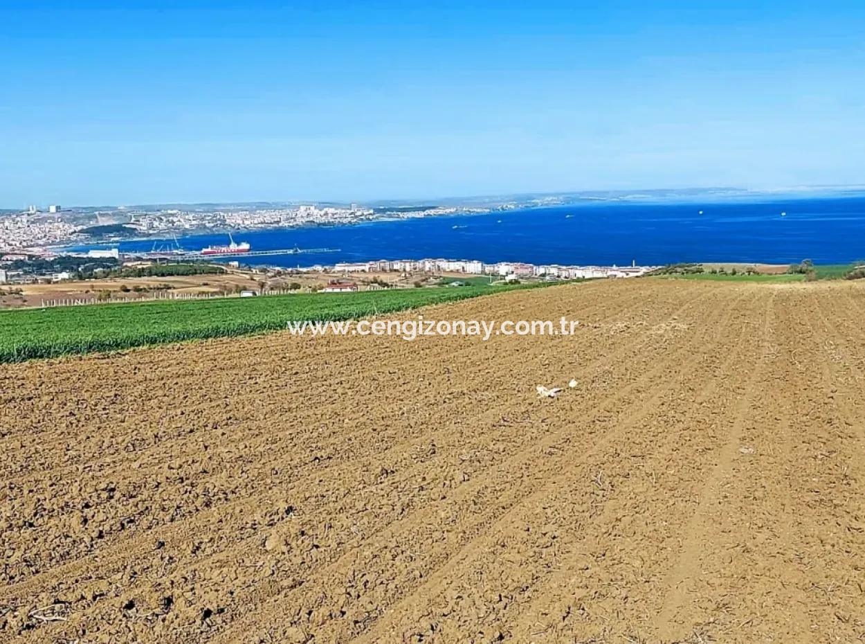 Tekirdag Barbarosta Luxusvilla Projekt Yap. Geben Sie Den Bauunternehmern Eine Wohnung Und Bauen Sie Eine Gewinnbringende Villa Mit Vollem Meerblick