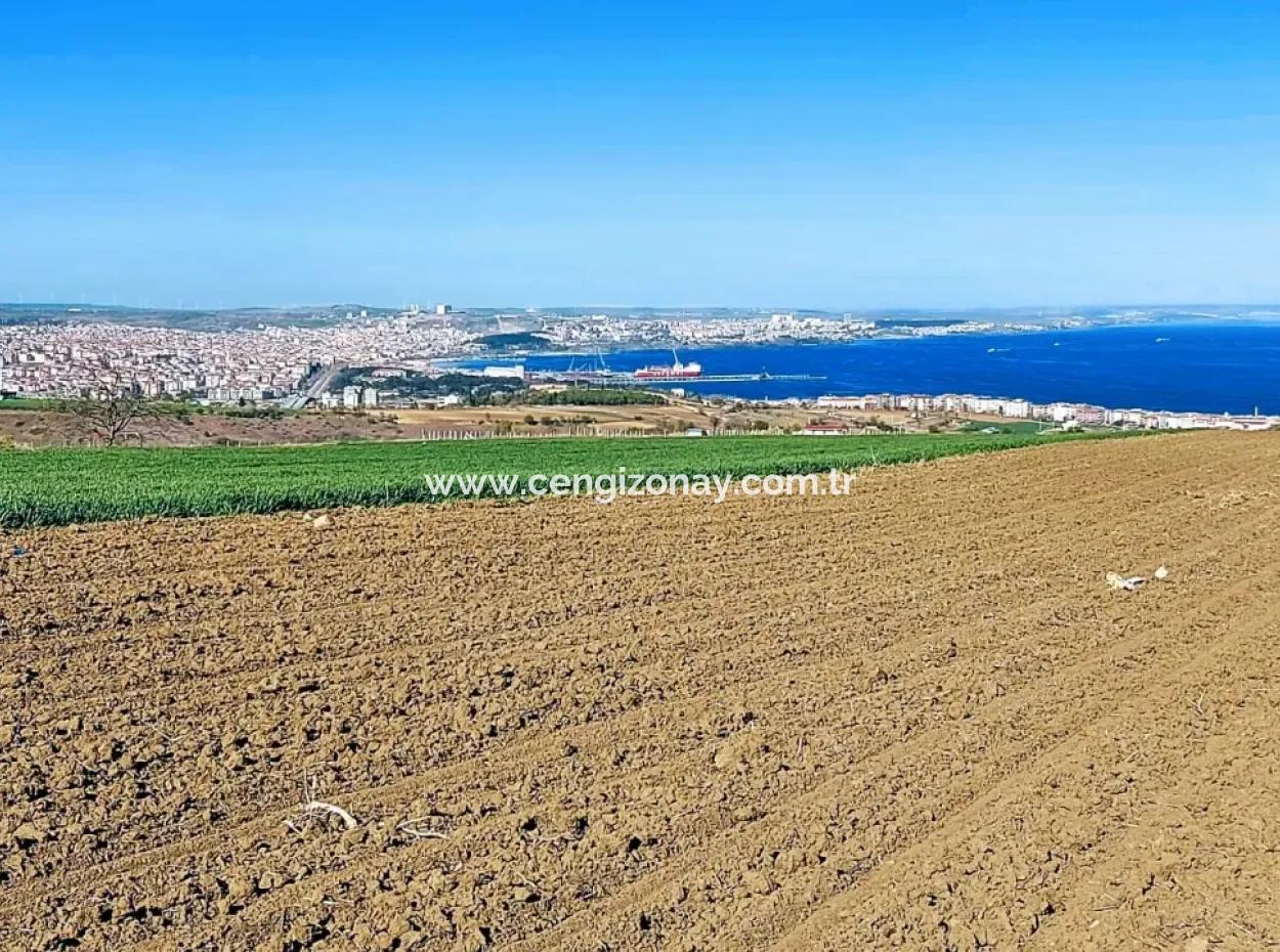 Tekirdag Barbarosta Luxusvilla Projekt Yap. Geben Sie Den Bauunternehmern Eine Wohnung Und Bauen Sie Eine Gewinnbringende Villa Mit Vollem Meerblick