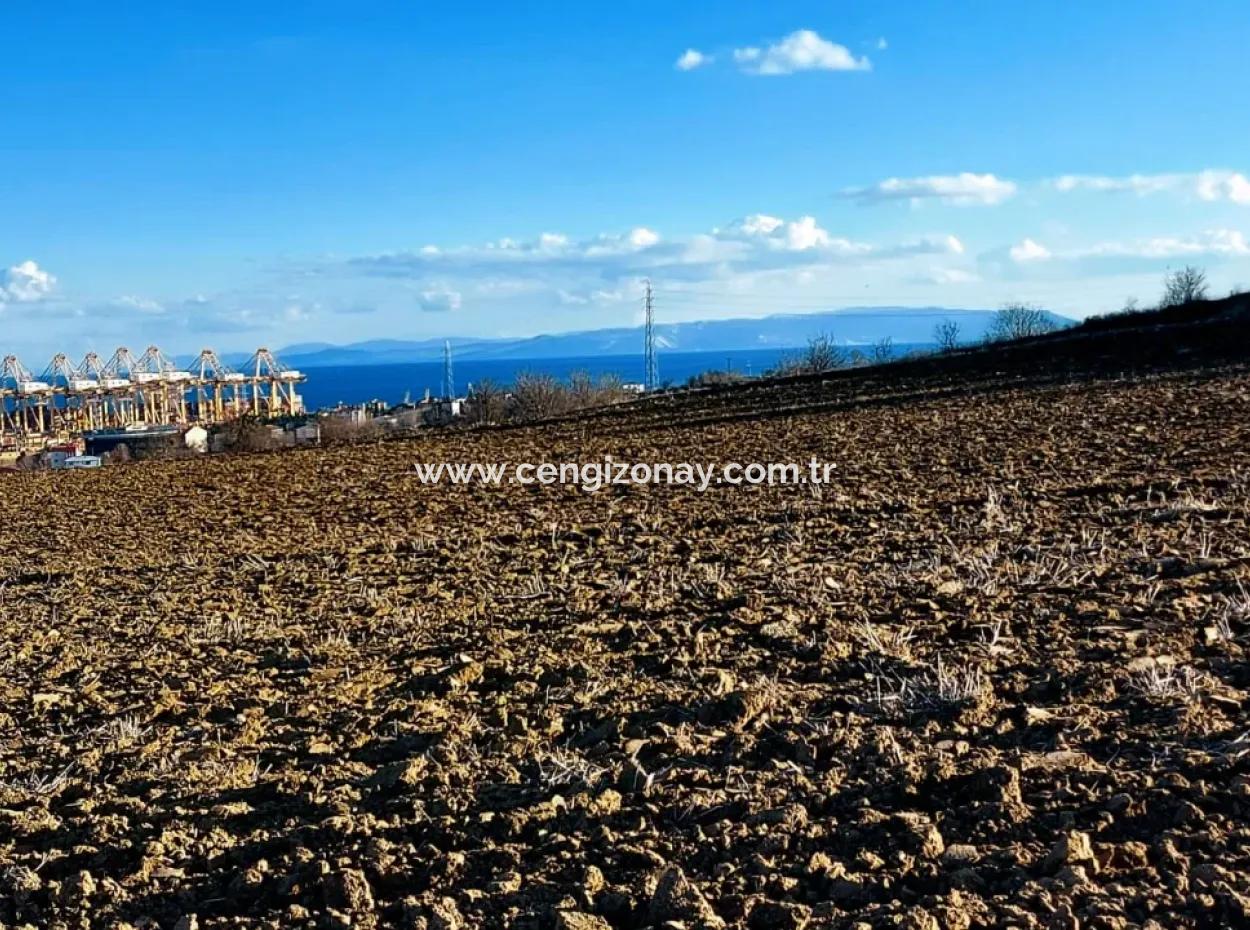 Einzigartiges 17.800 M2 Großes Wohngebiet In Der Gegend Von Süleymanpaşa Barbaros In Tekirdağ