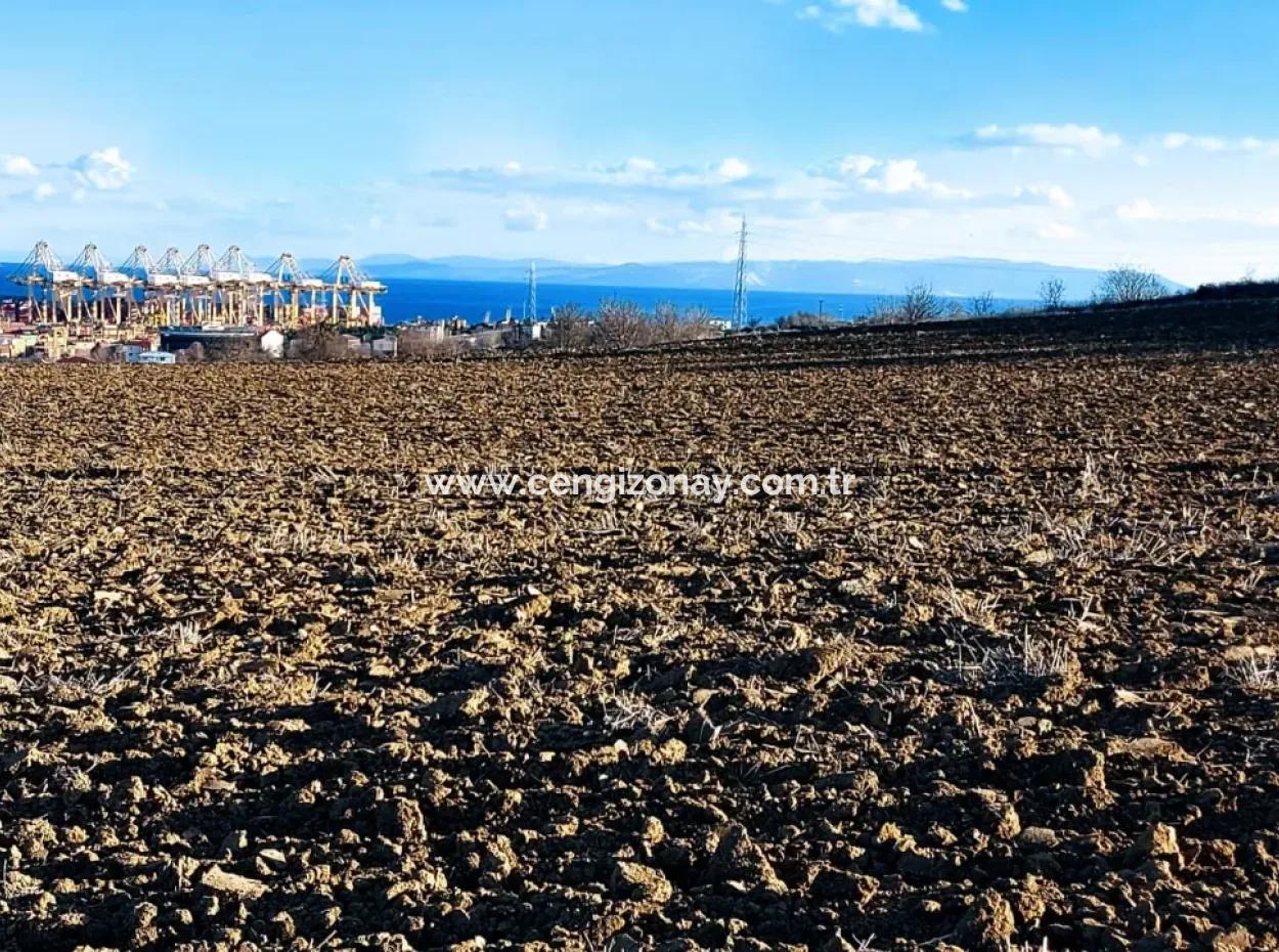 Einzigartiges 17.800 M2 Großes Wohngebiet In Der Gegend Von Süleymanpaşa Barbaros In Tekirdağ