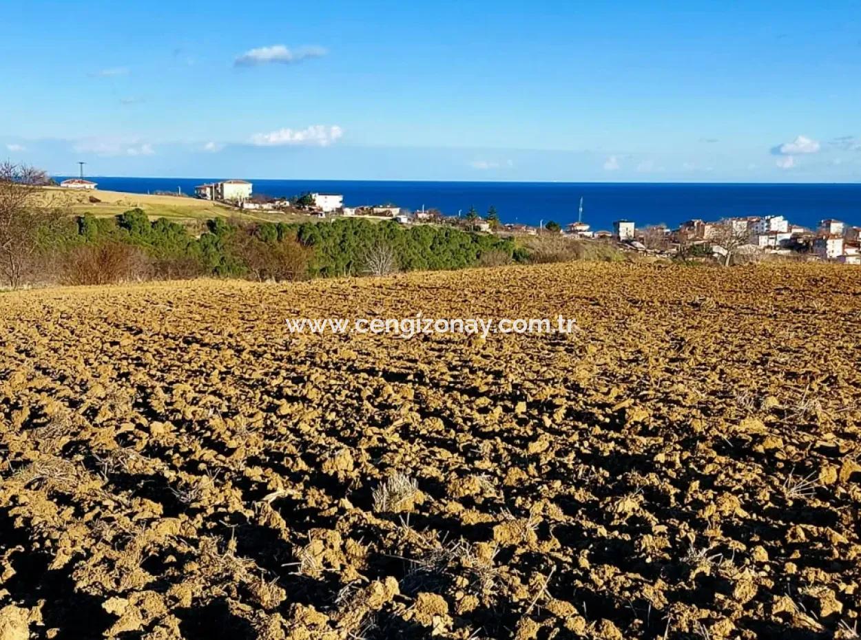 Einzigartiges 17.800 M2 Großes Wohngebiet In Der Gegend Von Süleymanpaşa Barbaros In Tekirdağ