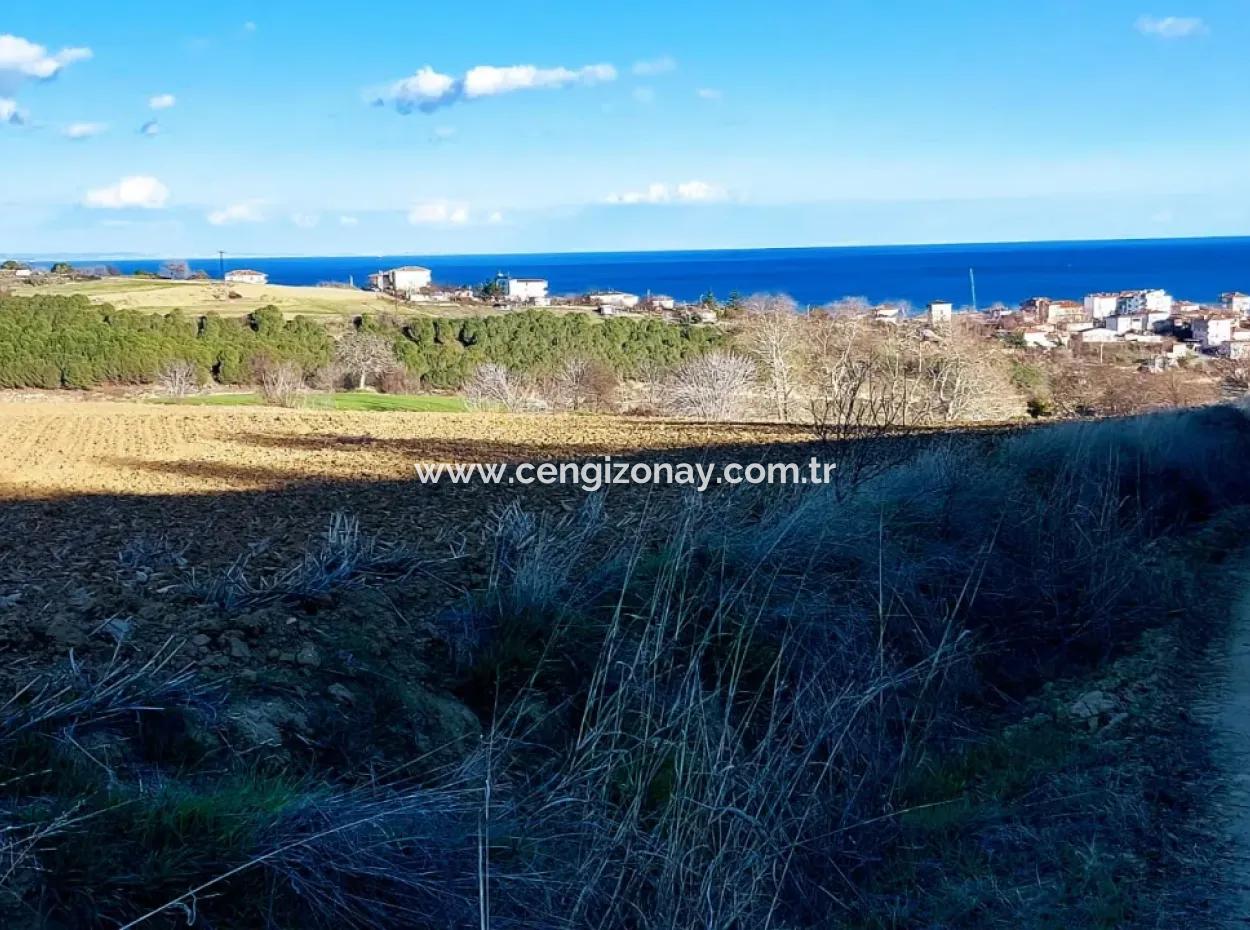 Einzigartiges 17.800 M2 Großes Wohngebiet In Der Gegend Von Süleymanpaşa Barbaros In Tekirdağ