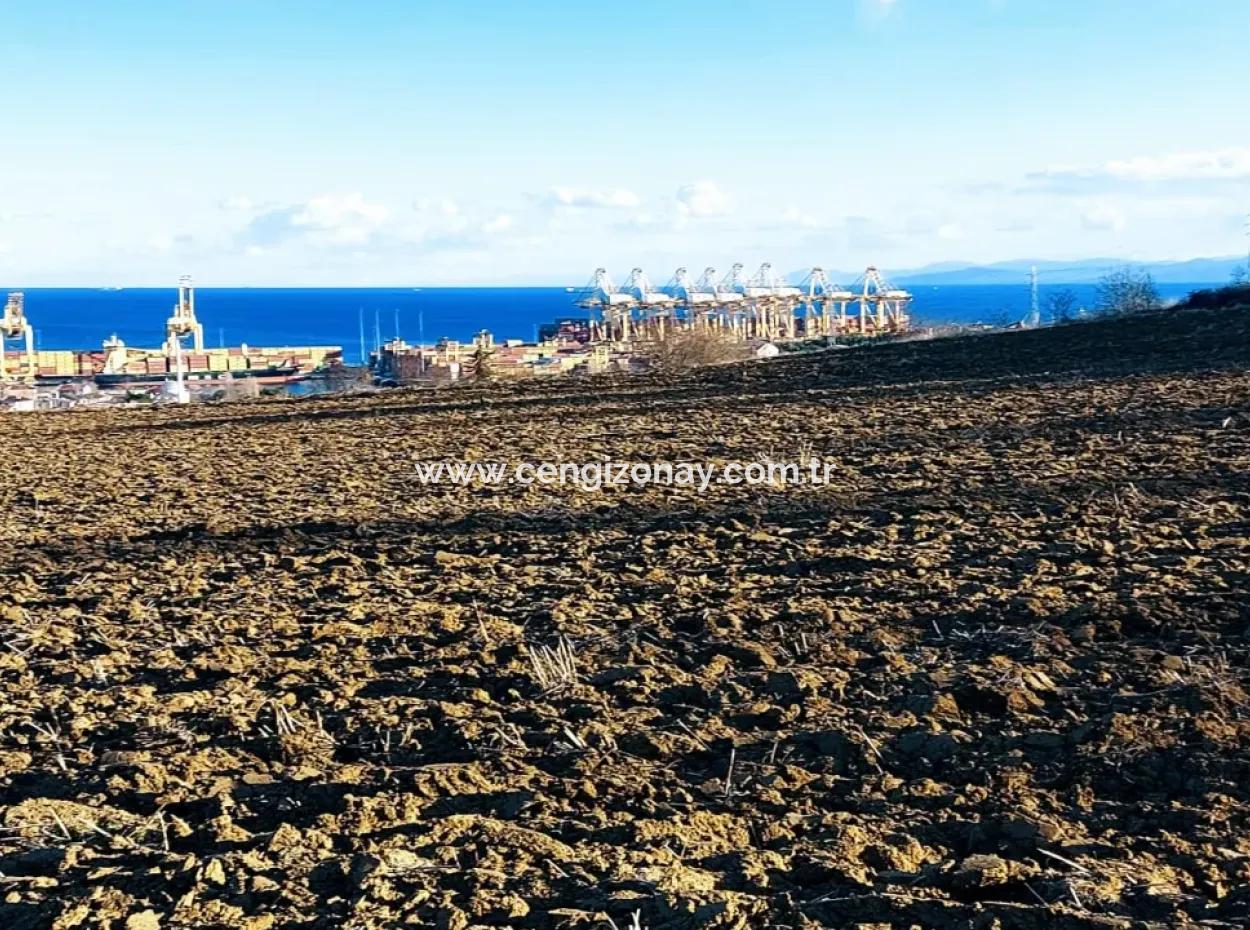 Einzigartiges 17.800 M2 Großes Wohngebiet In Der Gegend Von Süleymanpaşa Barbaros In Tekirdağ