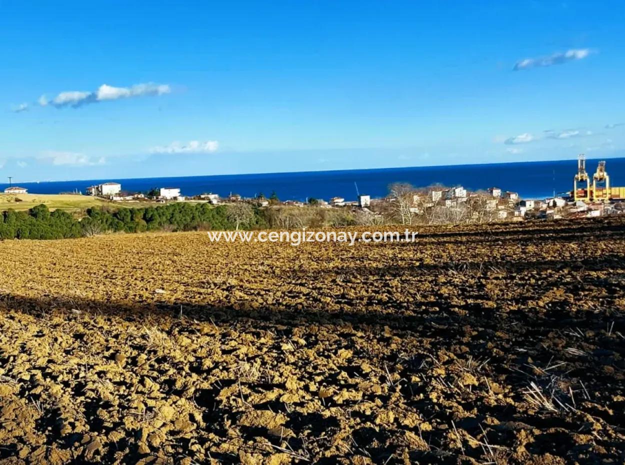 Einzigartiges 17.800 M2 Großes Wohngebiet In Der Gegend Von Süleymanpaşa Barbaros In Tekirdağ