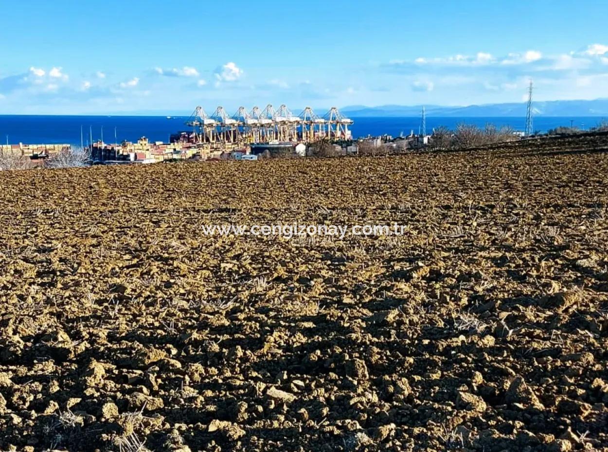Einzigartiges 17.800 M2 Großes Wohngebiet In Der Gegend Von Süleymanpaşa Barbaros In Tekirdağ