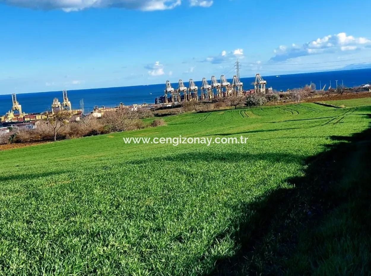 17 980 M2 Feld Zum Verkauf In Der Nähe Des Hafens Von Tekirdag Barbaros Asyaport