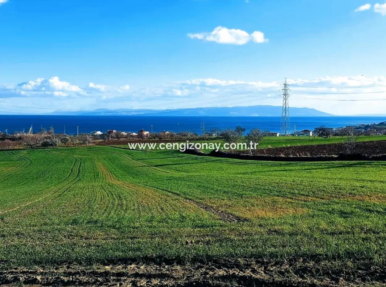 17 980 M2 Feld Zum Verkauf In Der Nähe Des Hafens Von Tekirdag Barbaros Asyaport