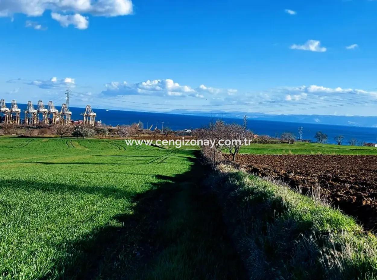 17 980 M2 Feld Zum Verkauf In Der Nähe Des Hafens Von Tekirdag Barbaros Asyaport