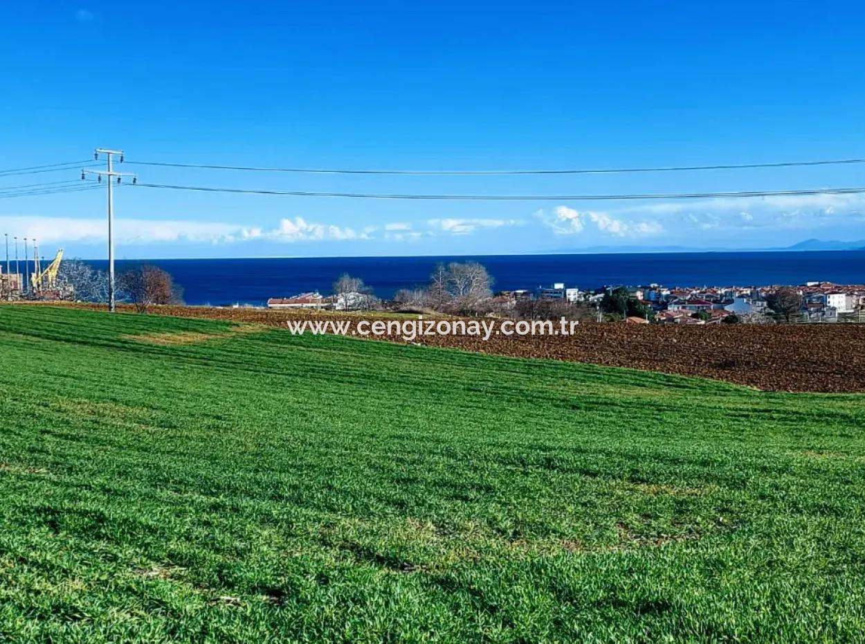 Dieses 11.100 M2 Große Wohngrundstück Befindet Sich In Süleymanpaşa Barbaros, Tekirdag, In Einer Großartigen Lage.