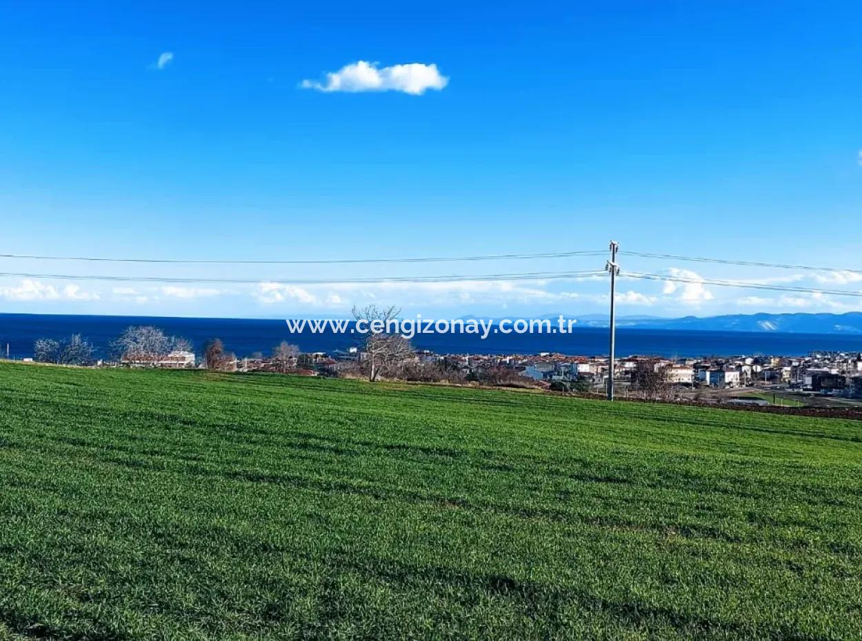 Dieses 11.100 M2 Große Wohngrundstück Befindet Sich In Süleymanpaşa Barbaros, Tekirdag, In Einer Großartigen Lage.