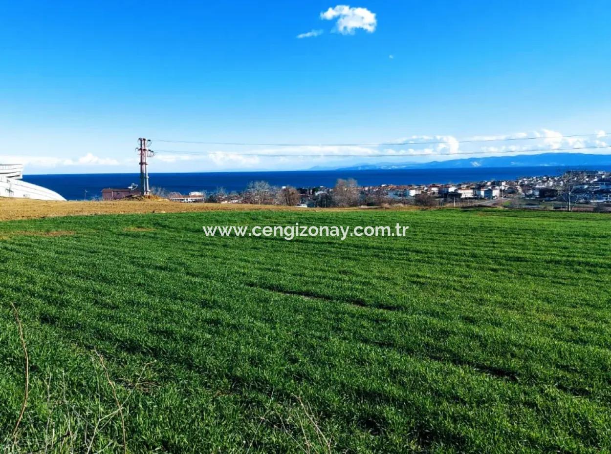 Dieses 11.100 M2 Große Wohngrundstück Befindet Sich In Süleymanpaşa Barbaros, Tekirdag, In Einer Großartigen Lage.