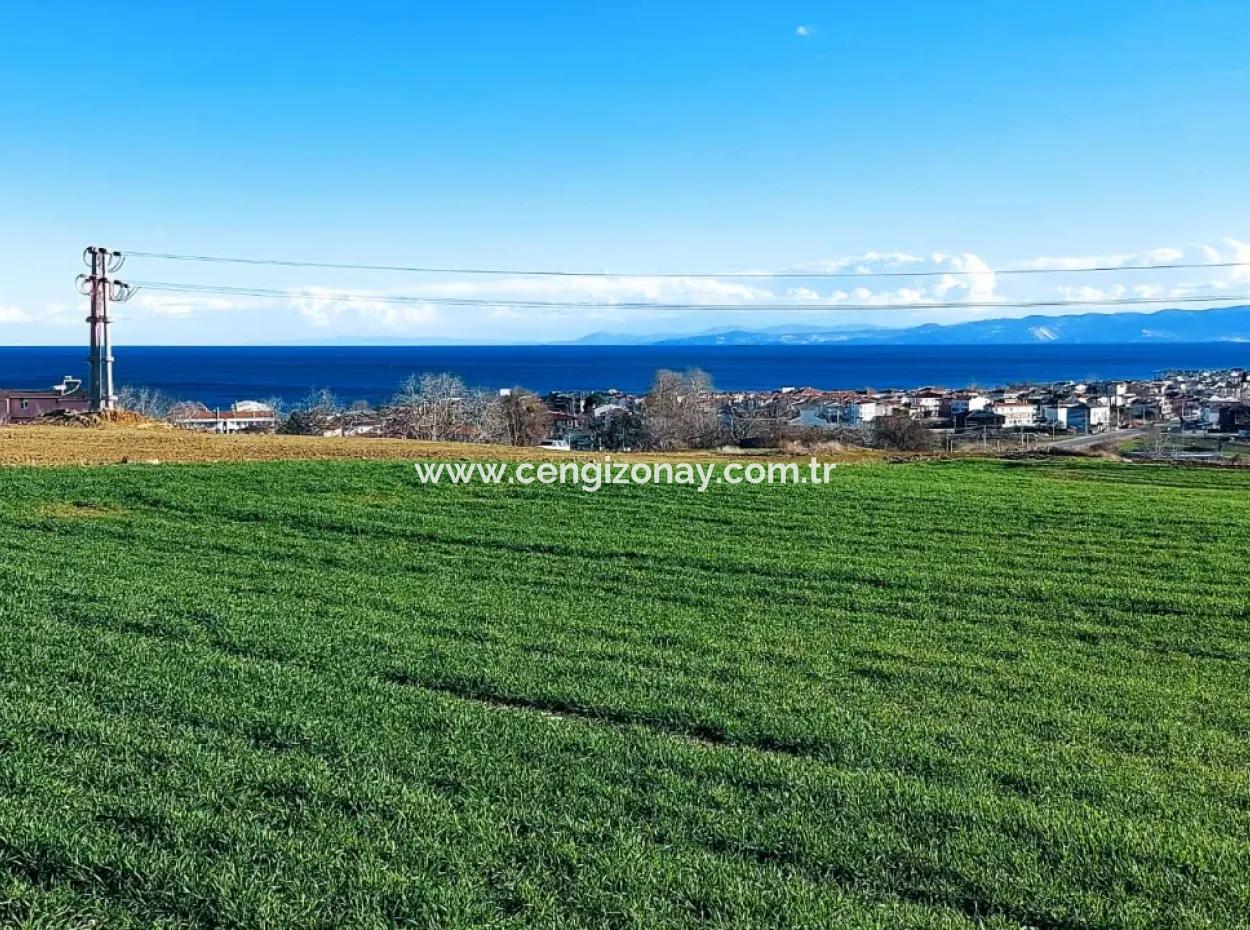 Dieses 11.100 M2 Große Wohngrundstück Befindet Sich In Süleymanpaşa Barbaros, Tekirdag, In Einer Großartigen Lage.