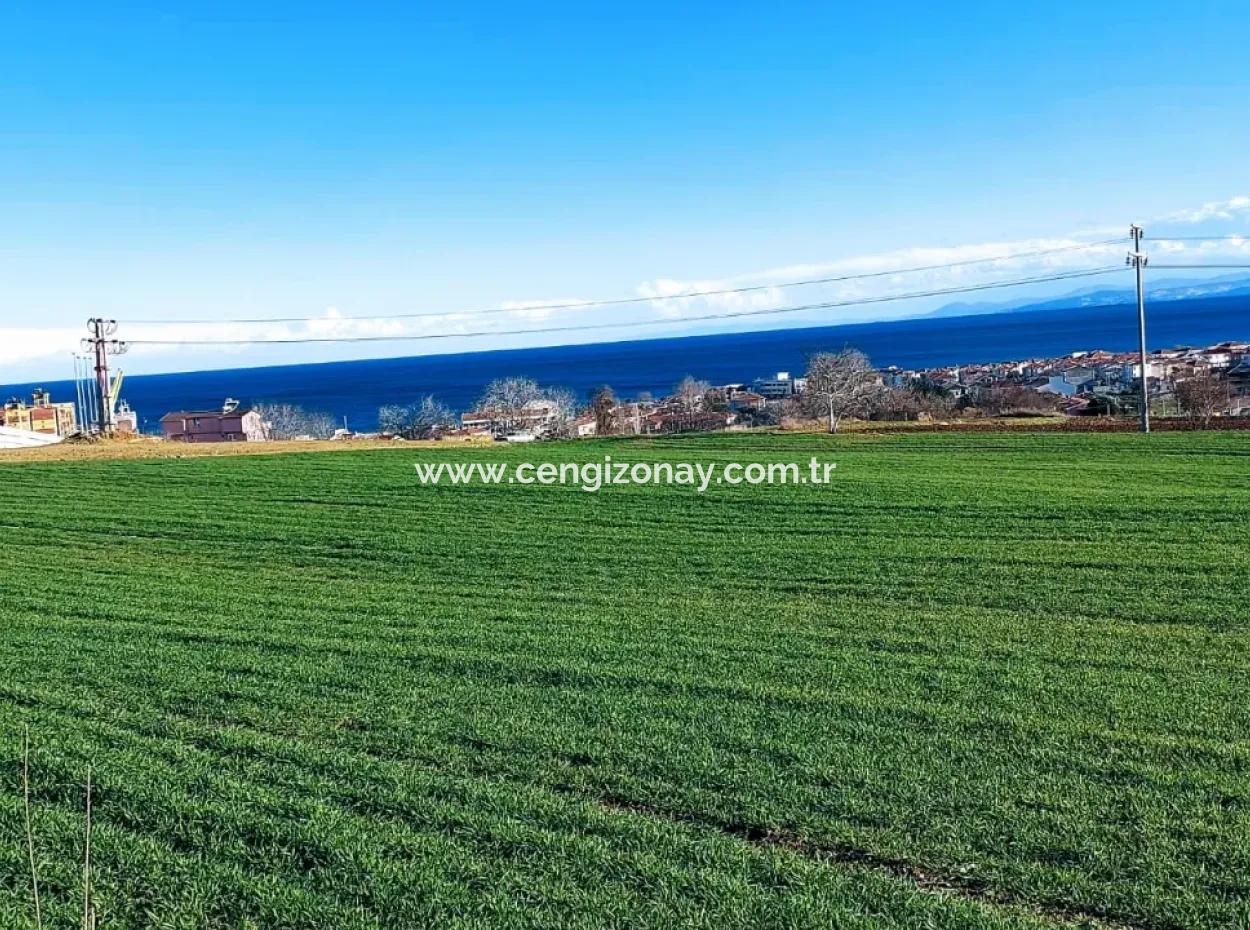 Dieses 11.100 M2 Große Wohngrundstück Befindet Sich In Süleymanpaşa Barbaros, Tekirdag, In Einer Großartigen Lage.