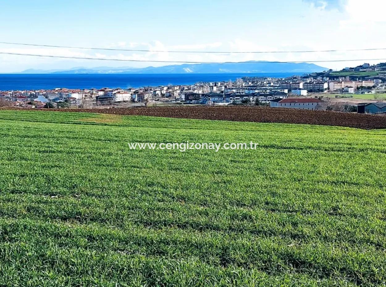 Dieses 11.100 M2 Große Wohngrundstück Befindet Sich In Süleymanpaşa Barbaros, Tekirdag, In Einer Großartigen Lage.