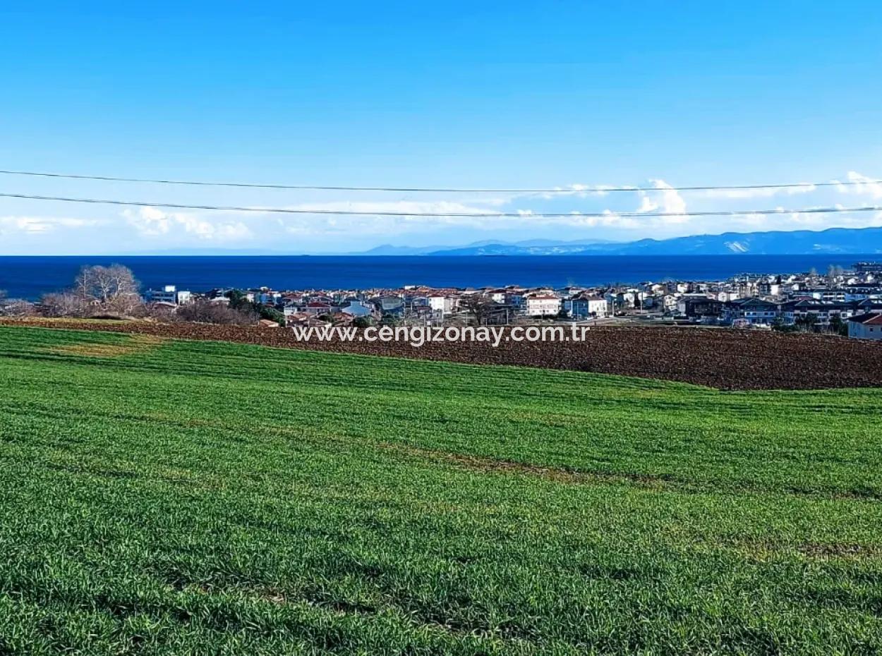 Dieses 11.100 M2 Große Wohngrundstück Befindet Sich In Süleymanpaşa Barbaros, Tekirdag, In Einer Großartigen Lage.