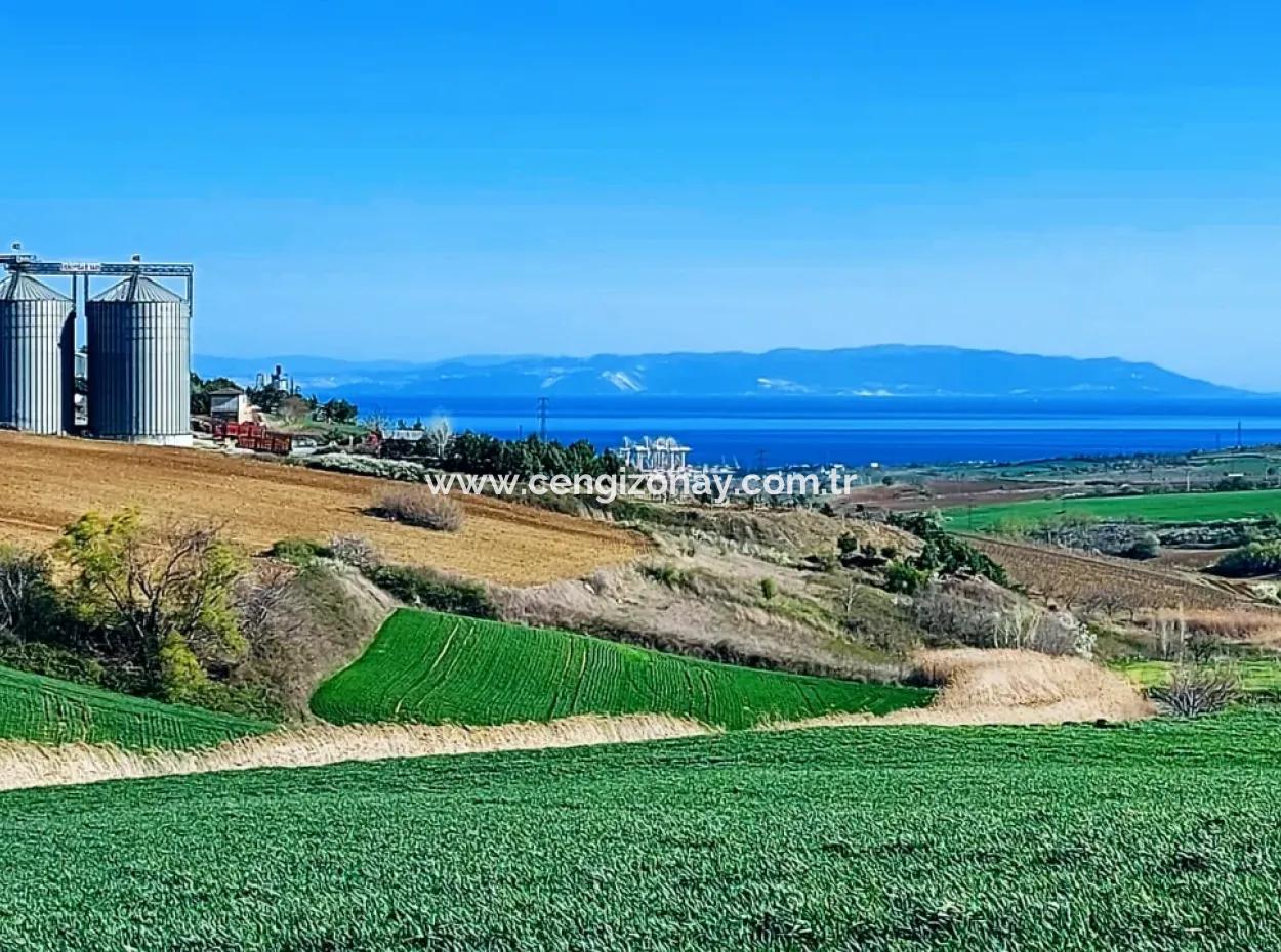 Grundstück Zum Verkauf Auf 19.500 Quadratmetern Gewerbe- Und Industriegebiet Im Nusuratlı-Gebiet Von Tekirdağ