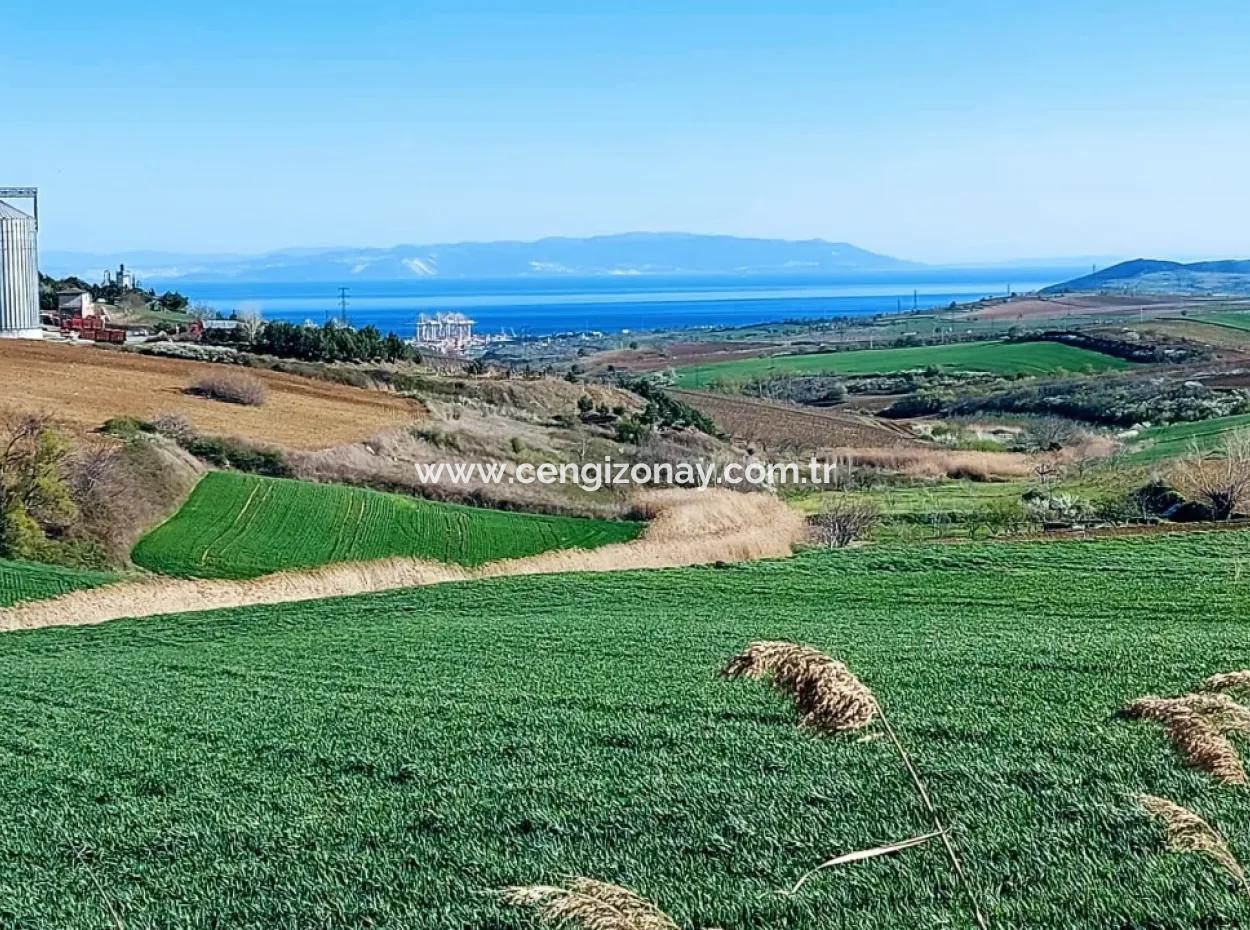 Grundstück Zum Verkauf Auf 19.500 Quadratmetern Gewerbe- Und Industriegebiet Im Nusuratlı-Gebiet Von Tekirdağ