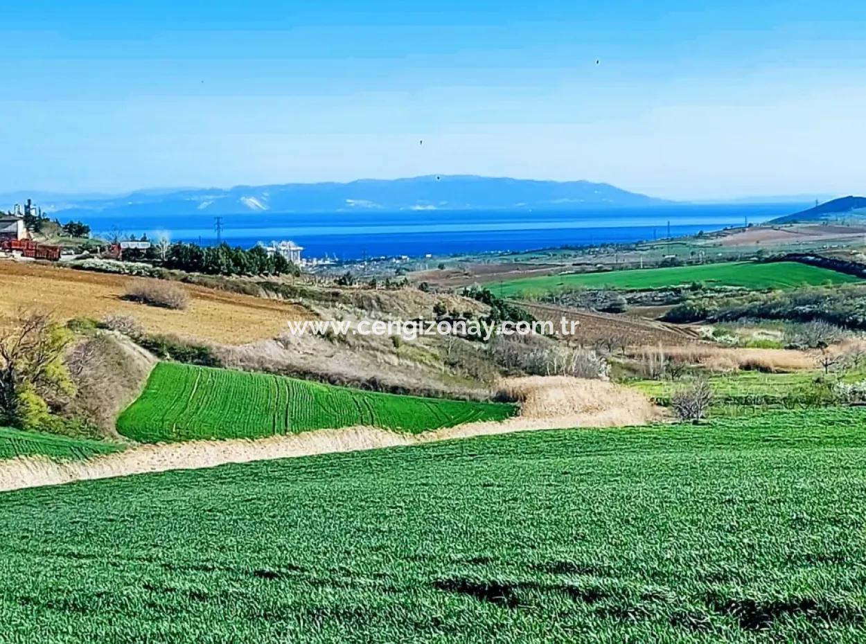 Grundstück Zum Verkauf Auf 19.500 Quadratmetern Gewerbe- Und Industriegebiet Im Nusuratlı-Gebiet Von Tekirdağ