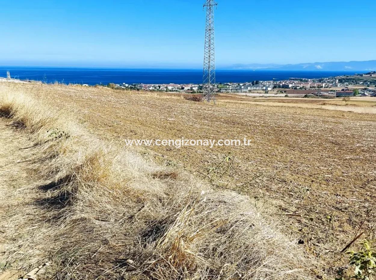 Das 21.900 M2 Große Grundstück In Tekirdağ Barbaros Befindet Sich Innerhalb Des Aktuellen Bebauungsplans Von Asyaport Port