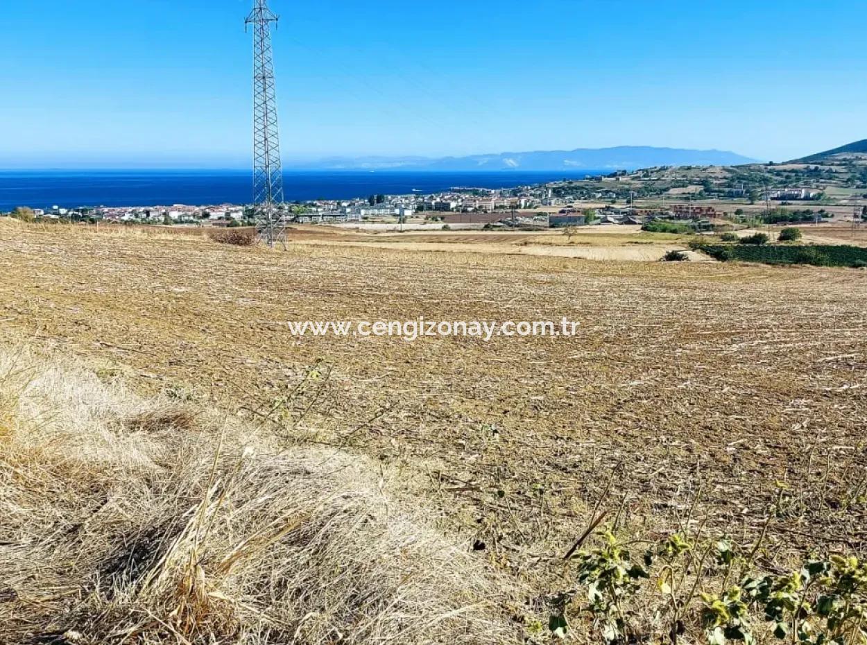 Das 21.900 M2 Große Grundstück In Tekirdağ Barbaros Befindet Sich Innerhalb Des Aktuellen Bebauungsplans Von Asyaport Port