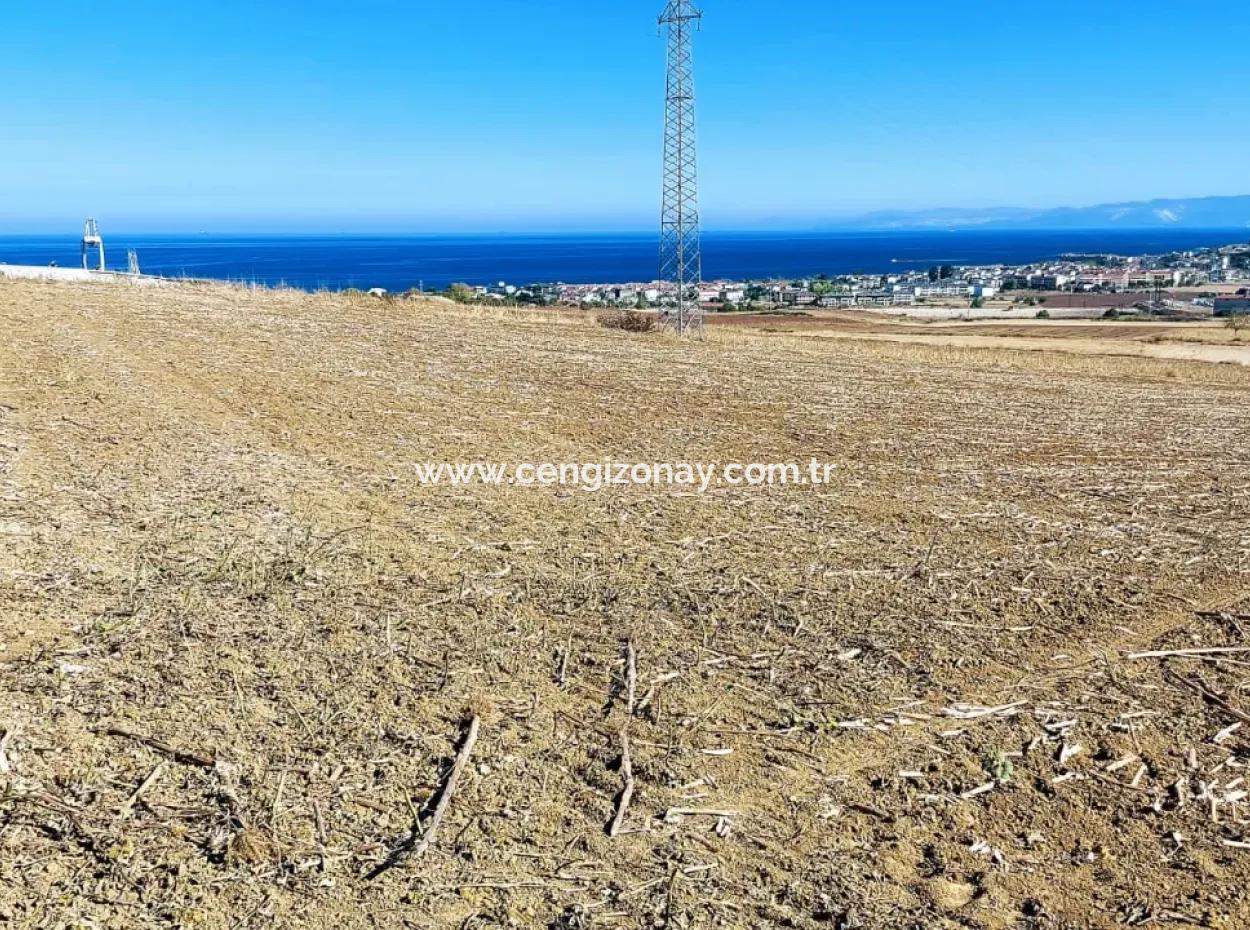 Das 21.900 M2 Große Grundstück In Tekirdağ Barbaros Befindet Sich Innerhalb Des Aktuellen Bebauungsplans Von Asyaport Port