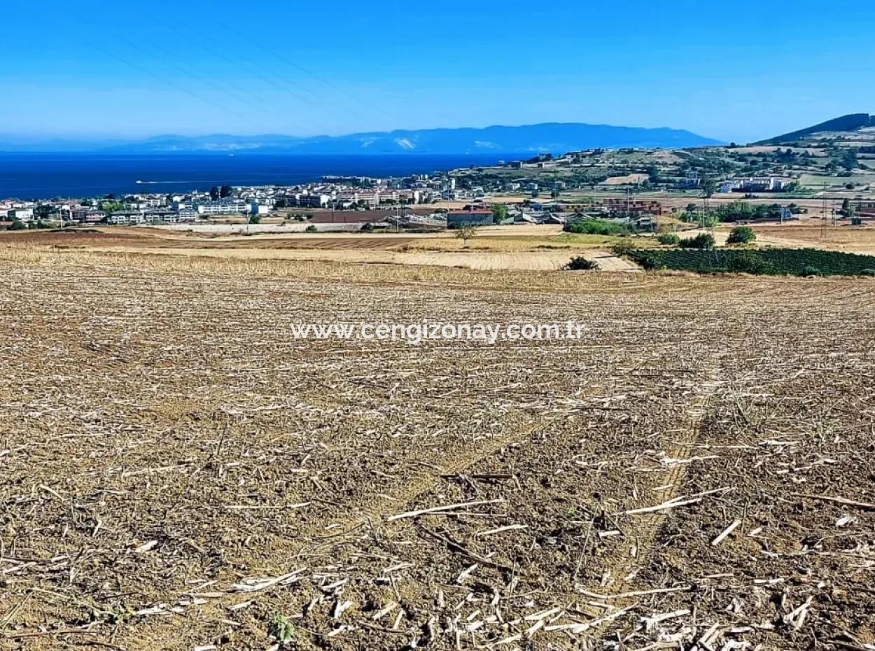 Das 21.900 M2 Große Grundstück In Tekirdağ Barbaros Befindet Sich Innerhalb Des Aktuellen Bebauungsplans Von Asyaport Port