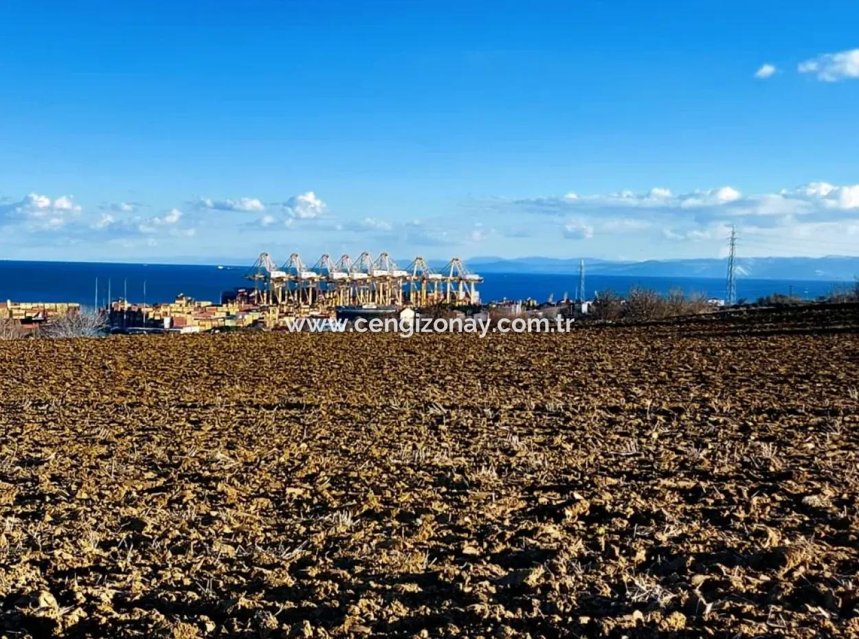 17.100 M2 Wohngebiet Mit Herrlicher Aussicht, In Der Nähe Des Hafens Tekirdağ Barbaros Asyaport