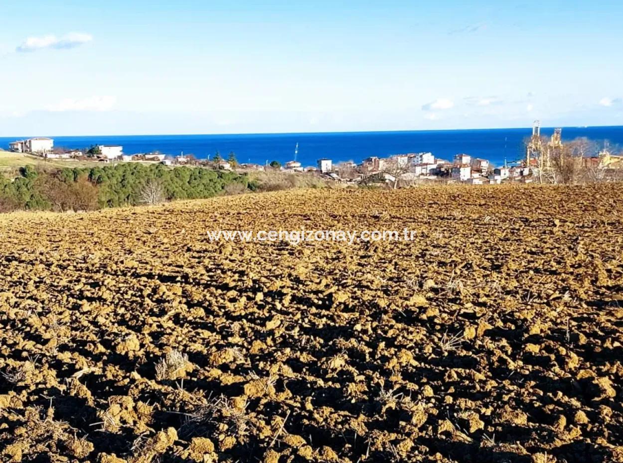 17.100 M2 Wohngebiet Mit Herrlicher Aussicht, In Der Nähe Des Hafens Tekirdağ Barbaros Asyaport