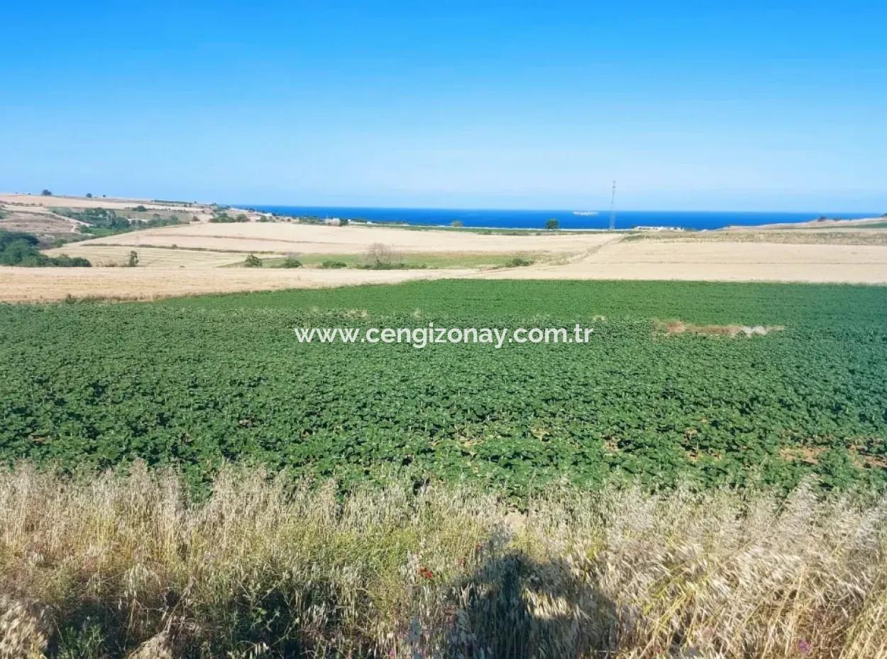 Tekirdağ Aşağkiliçli Mah. 2.340 M2 Kupon Feld Für Dringenden Verkauf, Das Hohe Gewinne Verspricht Und Sich Für Kauf Und Verkauf Eignet
