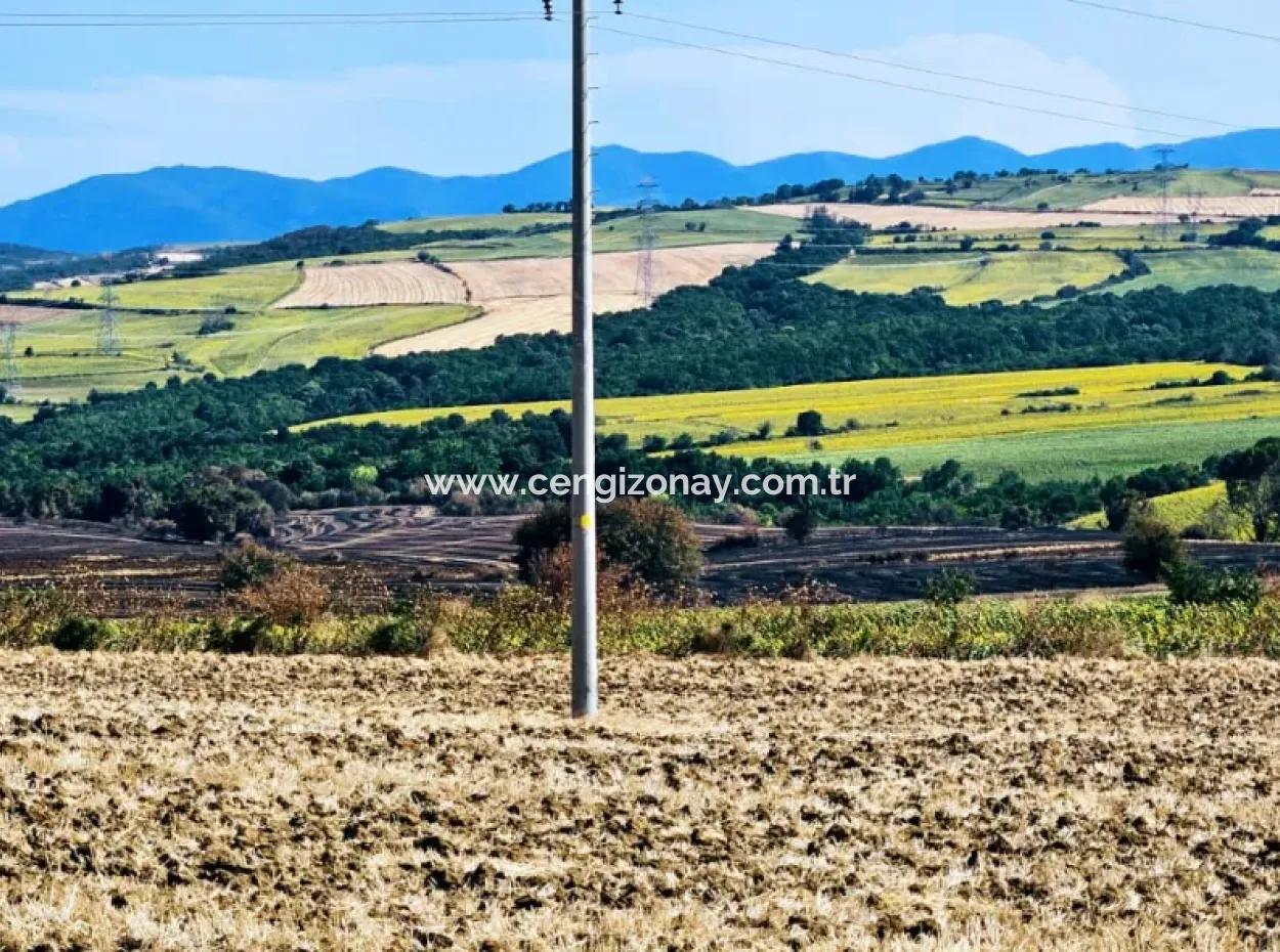 Tekirdağ Aşağkiliçli Mah. 2.340 M2 Kupon Feld Für Dringenden Verkauf, Das Hohe Gewinne Verspricht Und Sich Für Kauf Und Verkauf Eignet