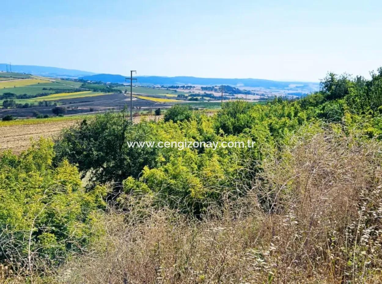 Tekirdağ Aşağkiliçli Mah. 2.340 M2 Kupon Feld Für Dringenden Verkauf, Das Hohe Gewinne Verspricht Und Sich Für Kauf Und Verkauf Eignet