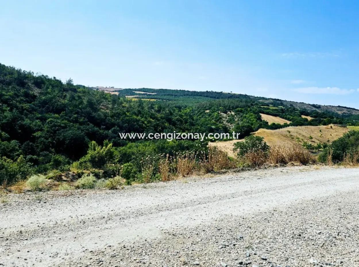 Kelep Kopon Field Zum Dringenden Verkauf Für Diejenigen, Die Eine Rentable Investition In Das Viertel Tekirdag Çanakçi Tätigen Möchten