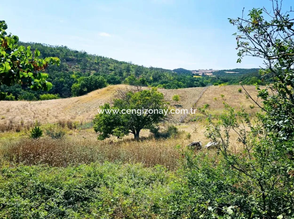 Kelep Kopon Field Zum Dringenden Verkauf Für Diejenigen, Die Eine Rentable Investition In Das Viertel Tekirdag Çanakçi Tätigen Möchten