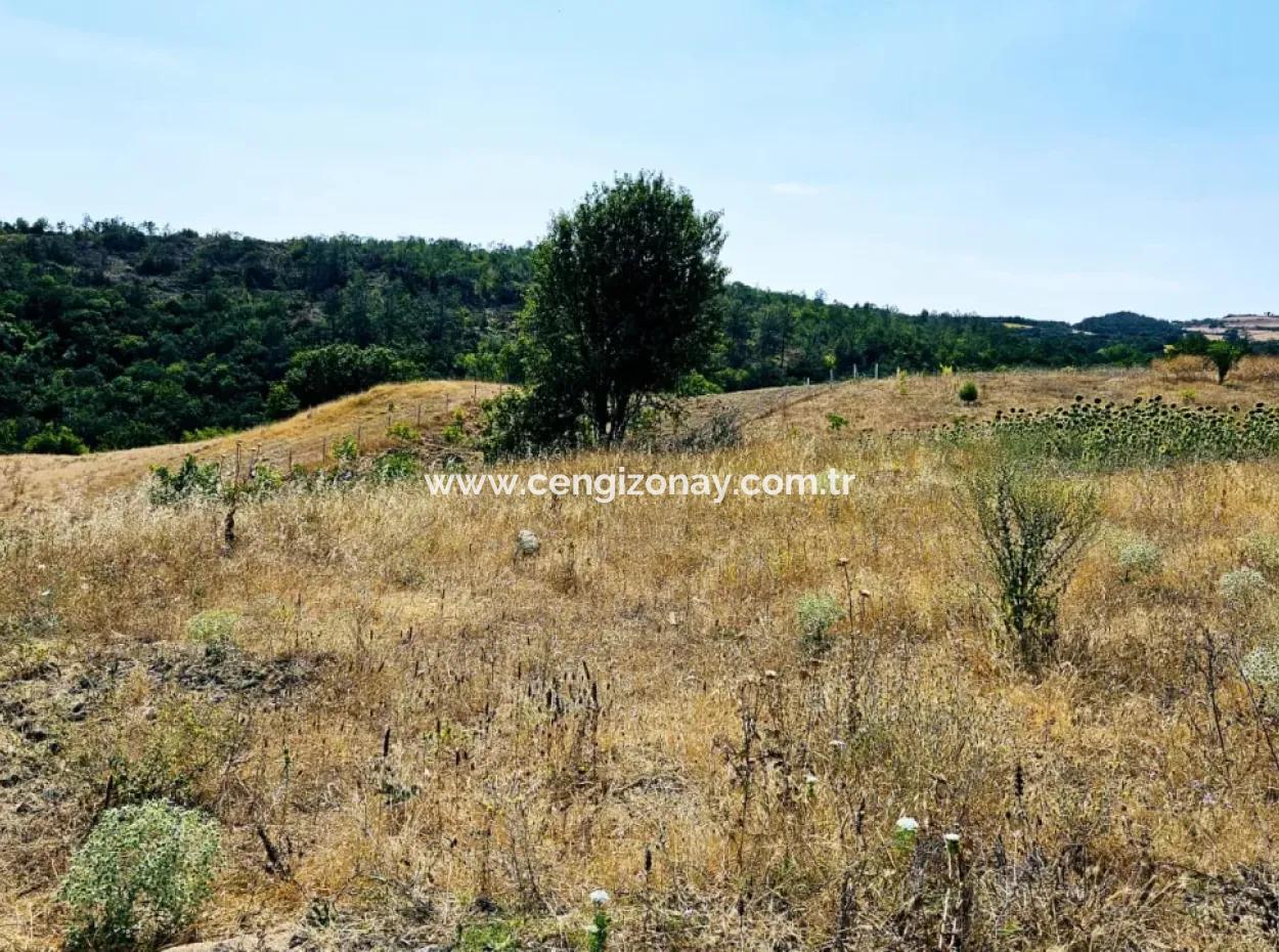 Kelep Kopon Field Zum Dringenden Verkauf Für Diejenigen, Die Eine Rentable Investition In Das Viertel Tekirdag Çanakçi Tätigen Möchten