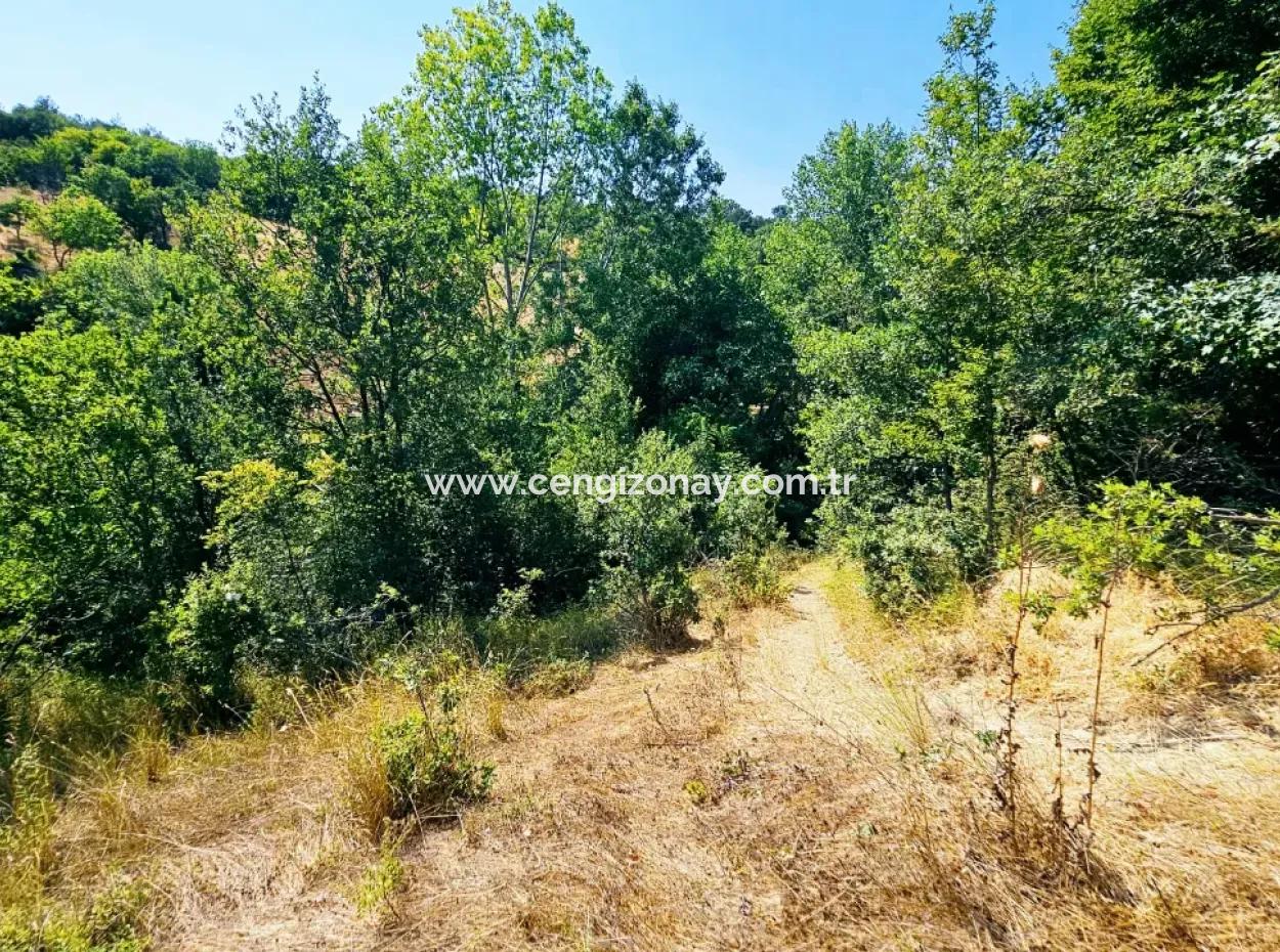 Coupon-Feld Mit Hauptstrassenfront, Geeignet Für Naturliebhaber, Um Tiny House Zum Dringenden Verkauf In Der Nachbarschaft Tekirdag Çanakçi Zu Platzieren