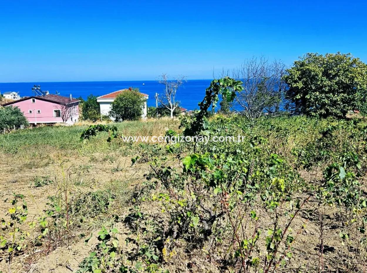 Eine Unumgängliche Gelegenheit Für Diejenigen, Die Einen Ort Zum Dringenden Verkauf Suchen 4 Side Road Fassadeninvestition In Tekirdag Barbarosta