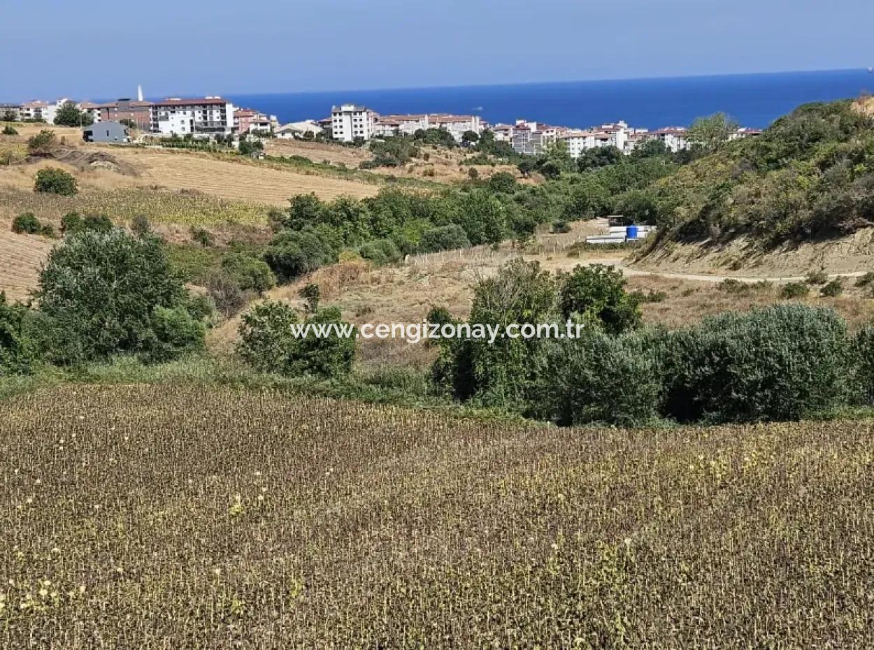 9.100 M2 Villa Zoniertes Feld Zum Dringenden Verkauf In Tekirdag Barbarosta