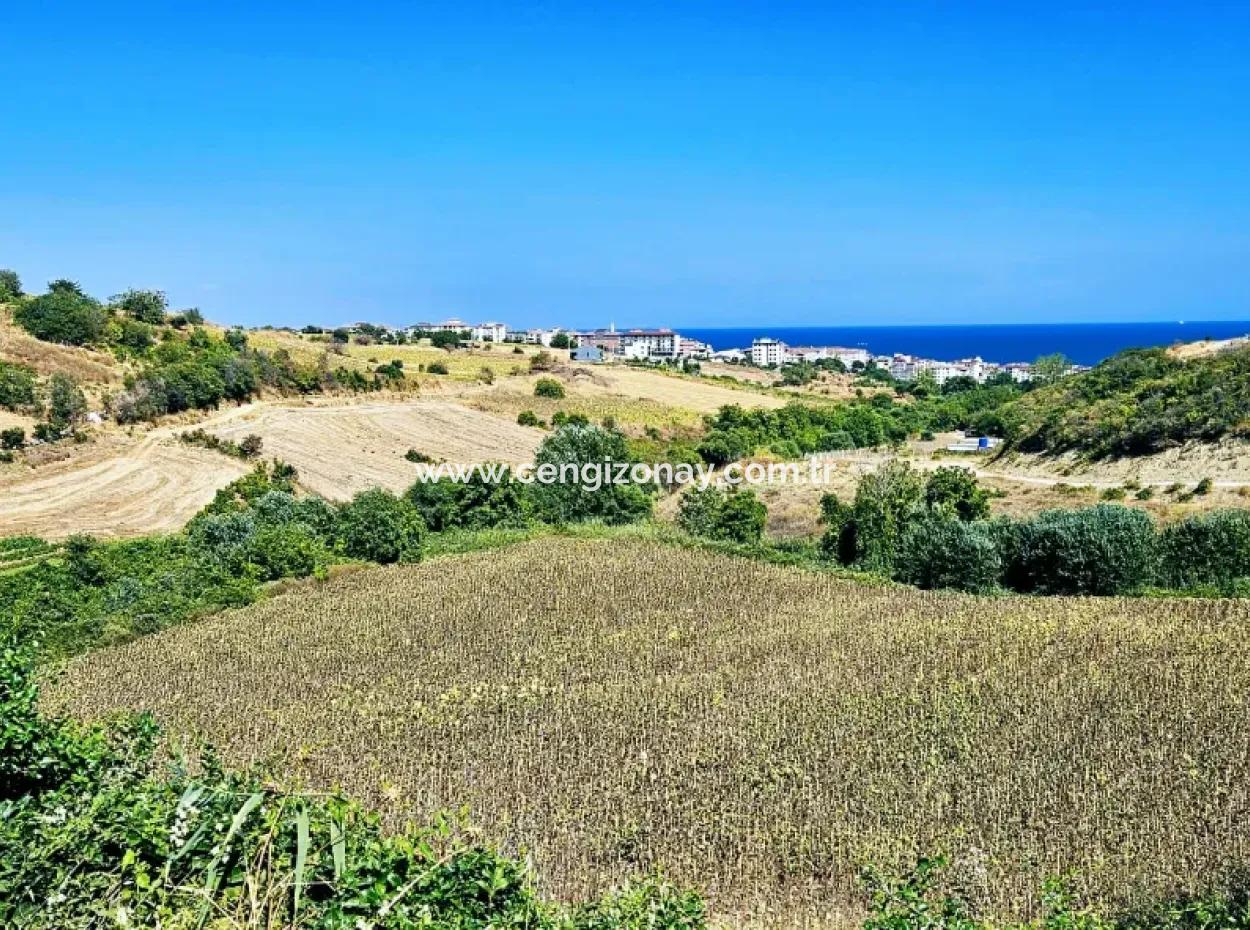 9.100 M2 Villa Zoniertes Feld Zum Dringenden Verkauf In Tekirdag Barbarosta