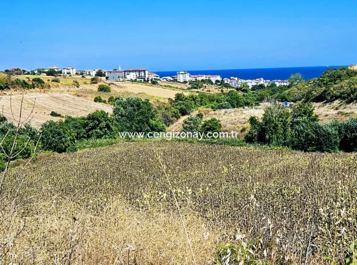 9.100 M2 Villa Zoniertes Feld Zum Dringenden Verkauf In Tekirdag Barbarosta