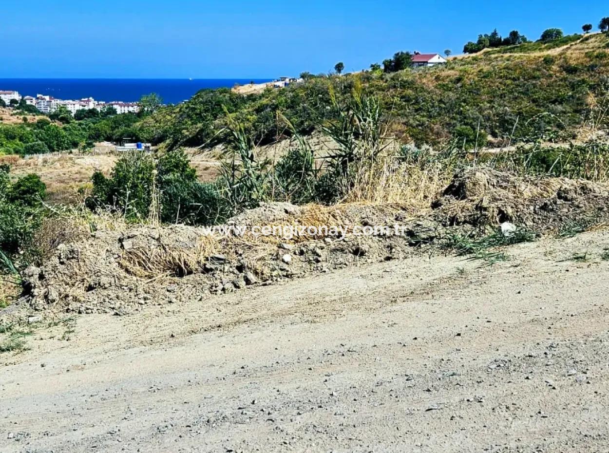9.100 M2 Villa Zoniertes Feld Zum Dringenden Verkauf In Tekirdag Barbarosta