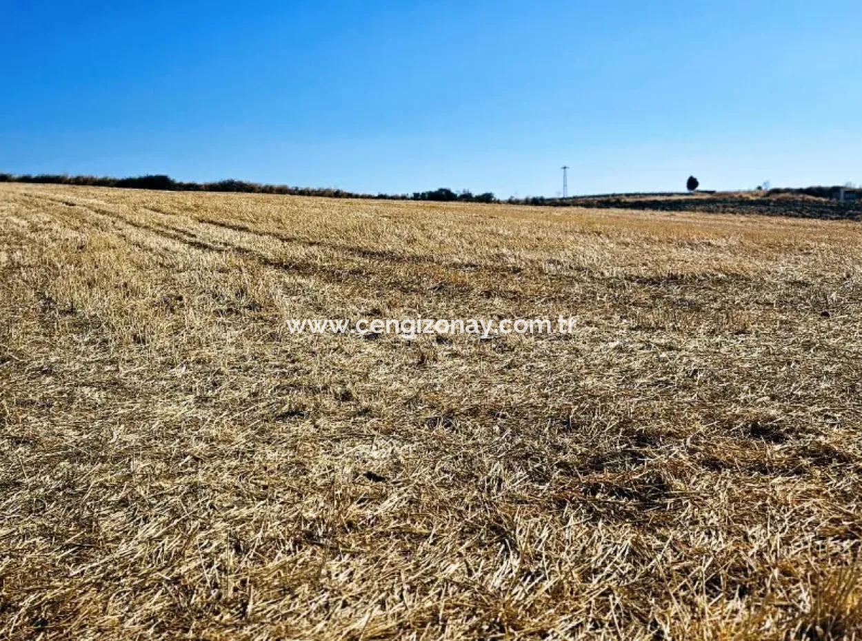 2.650 M2 Villa Zum Dringenden Verkauf In Tekirdag Barbarosta Zoned Coupon Field Geeignet Für Investitionen