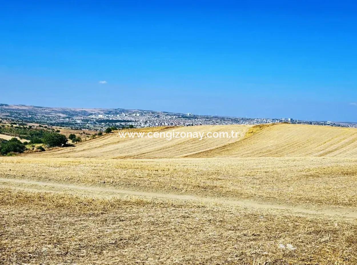 2.650 M2 Villa Zum Dringenden Verkauf In Tekirdag Barbarosta Zoned Coupon Field Geeignet Für Investitionen