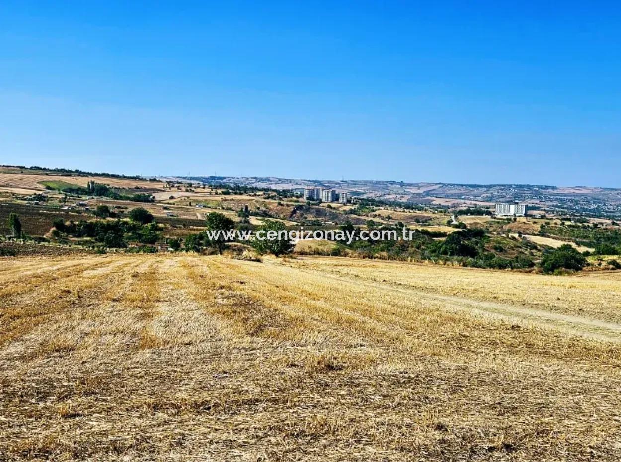 2.650 M2 Villa Zum Dringenden Verkauf In Tekirdag Barbarosta Zoned Coupon Field Geeignet Für Investitionen